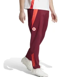 Hot Pre-Match Sweatpants, Men, Bordeaux Tracksuits & Pants