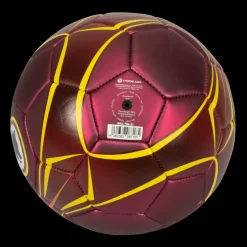 Discount soccer ball metallic finish and Wolf Logo, Size 1 Footballs