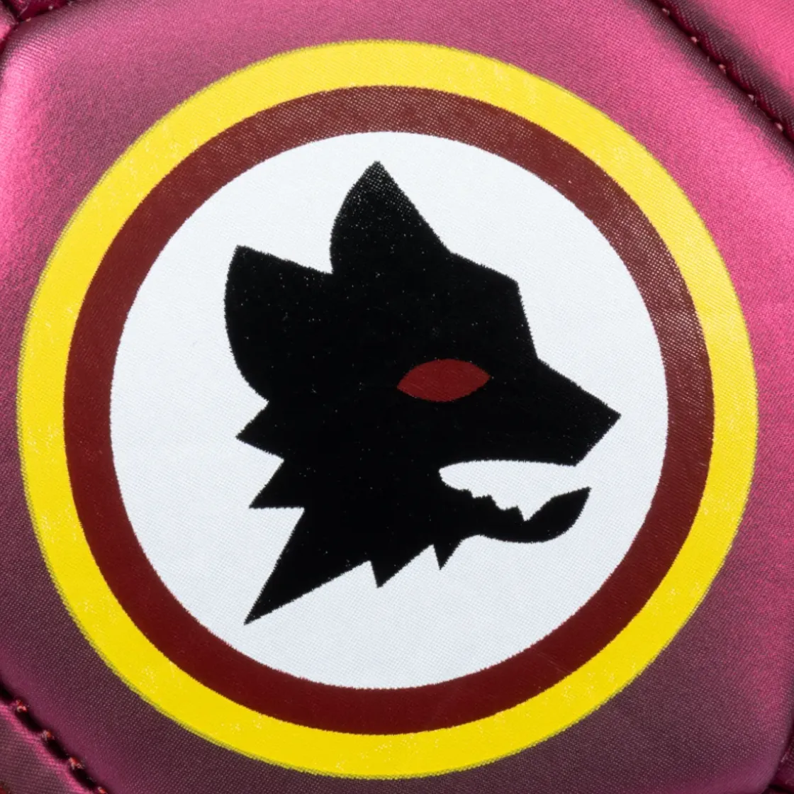 Discount soccer ball metallic finish and Wolf Logo, Size 1 Footballs