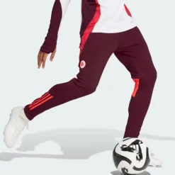 Hot Training Pants, Burgundy Tracksuits & Pants