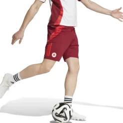 Sale Training Shorts, Red Shorts